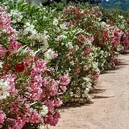 منتجع Les De Pertamina