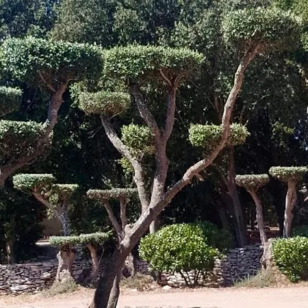 Les De Pertamina Ośrodek wypoczynkowy Bonifacio (Corsica)