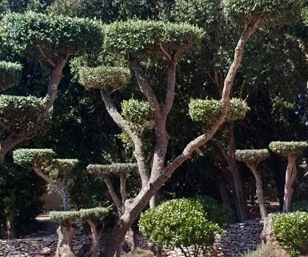 Les De Pertamina Rezort Bonifacio (Corsica)