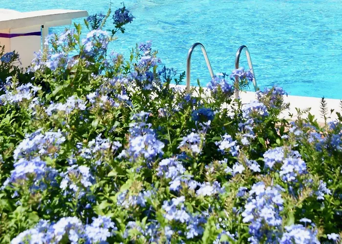 Les De Pertamina Rezort *